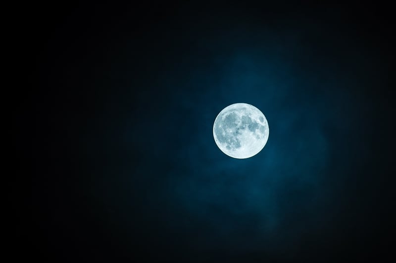 Mystical Moonlight